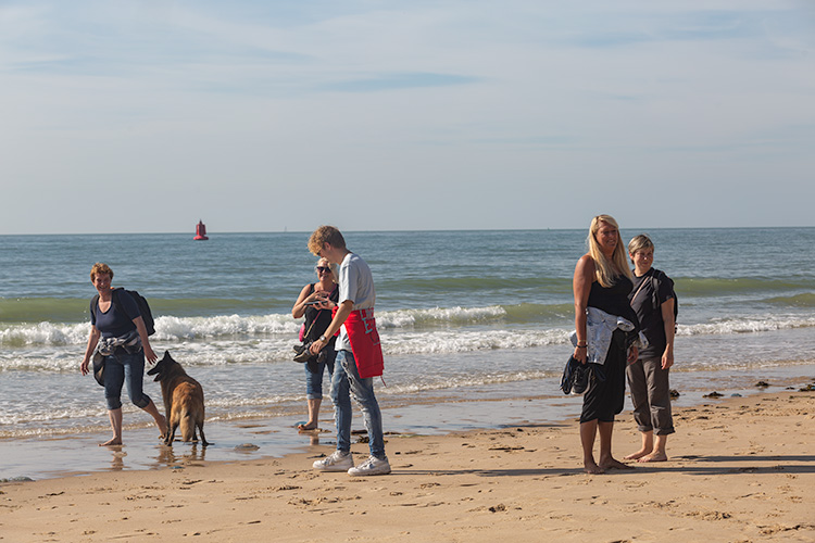 Wandeling Zoutelanden